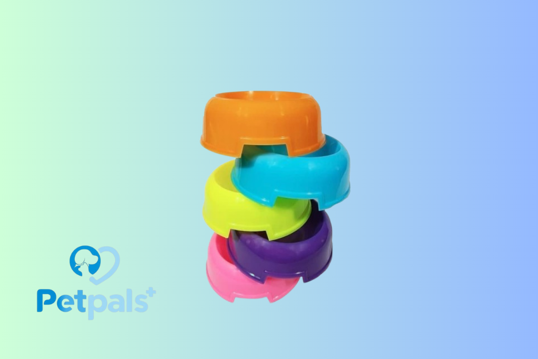 Tempat Makan Minum Kucing